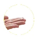 4515061012382-3.webp