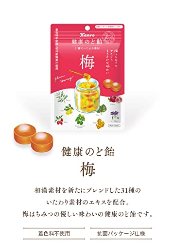 7-Piece Premium Japanese Plum-Flavored Snack Box: Otoko Ume Ame, Ume Zarame Senbei, Suppaiman Kaki Pee Ichiban, Kamu Kamu Ume, Nama Ume Ame, Kanro No