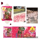 7-Piece Premium Japanese Plum-Flavored Snack Box: Otoko Ume Ame, Ume Zarame Senbei, Suppaiman Kaki Pee Ichiban, Kamu Kamu Ume, Nama Ume Ame, Kanro No