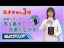 youtube - [Video]