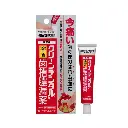 【Clean Dental N】齒槽膿漏軟膏 16g