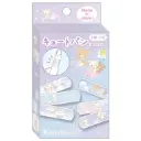 鬆弛熊膠布（6款共12枚入）