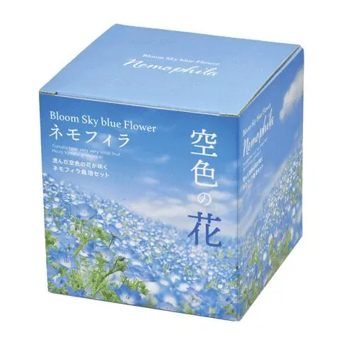 [4528757039143] 空色の花（粉蝶花）栽培套裝