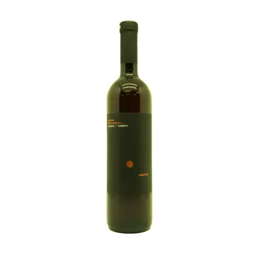 [22570001022] 【Gogushika】Rkatsiteli Qvevri Unfiltered 2019 Dry Amber 750ml