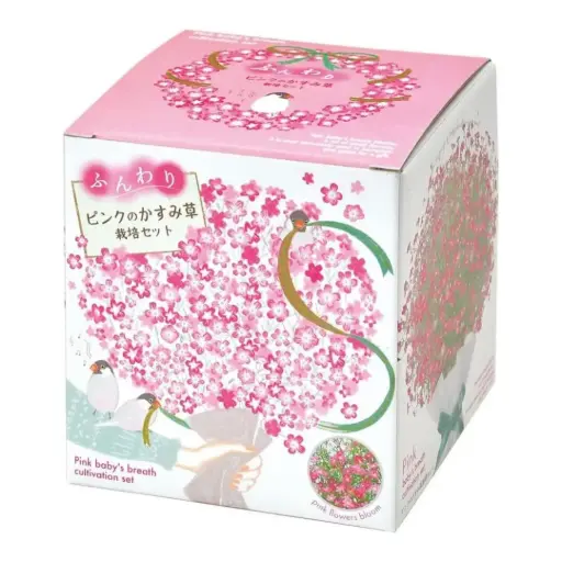 [4528757041467] Pink Baby’s Breath (Gypsophila) Cultivation Set