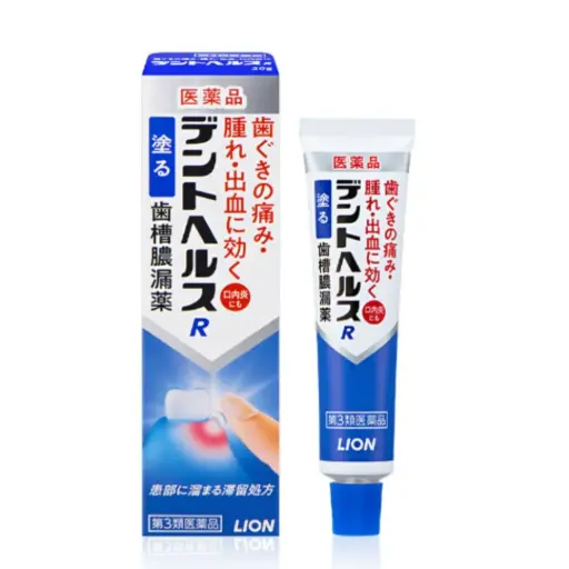 [4903301136842] 齒槽膿漏藥 R 10g